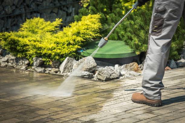 Best Winterizing Services  in Haines, AK